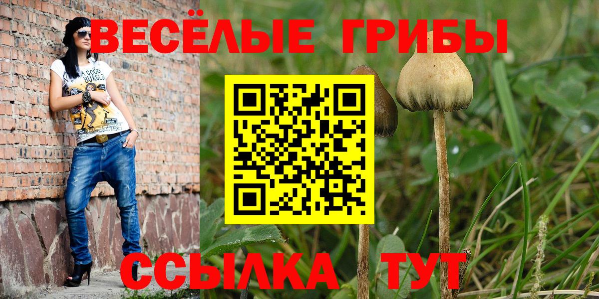 Галлюциногенные грибы ЛСД Касимов