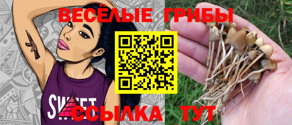 Галлюциногенные грибы Cubensis  Вход с VPN  Галлюциногенные грибы Cubensis  Касимов 
